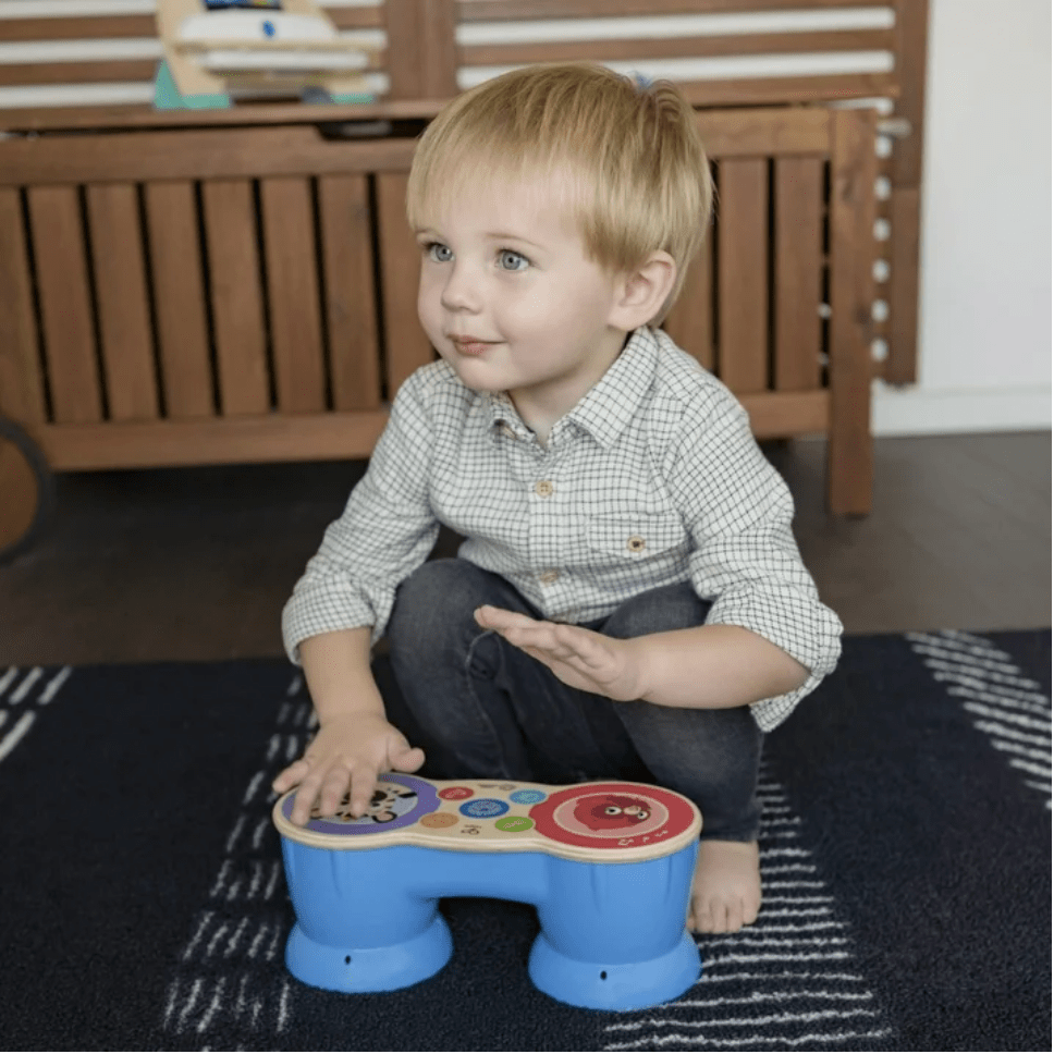 #0100198 Baby Einstein - Upbeat Tunes Magic Touch Wooden Drums - Toy Hermit