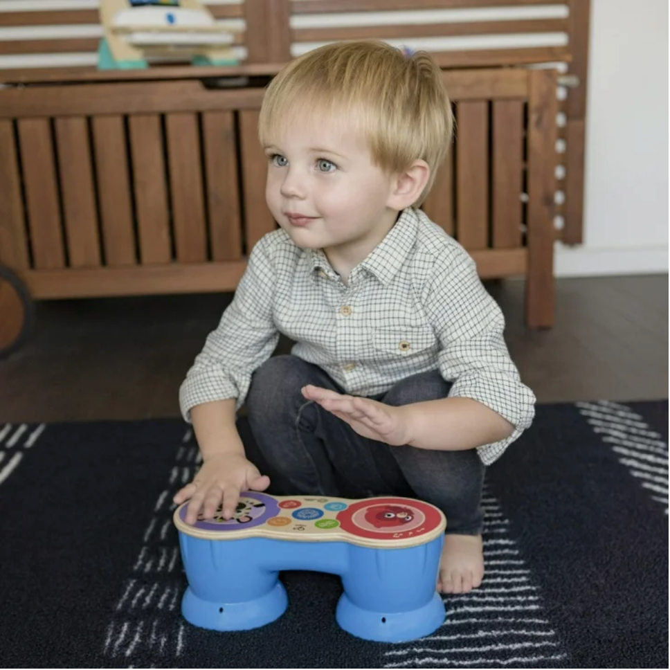 #0100198 Baby Einstein - Upbeat Tunes Magic Touch Wooden Drums