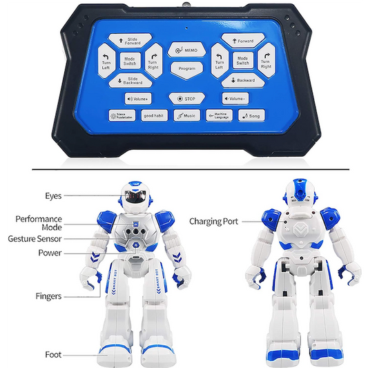 #0600057 RC Programmable Robot